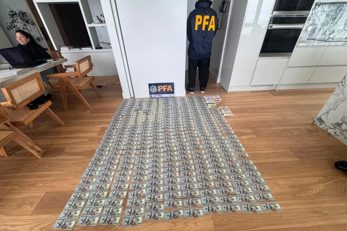 Parte del dinero secuestrado por la Policía Federal Argentina (PFA)