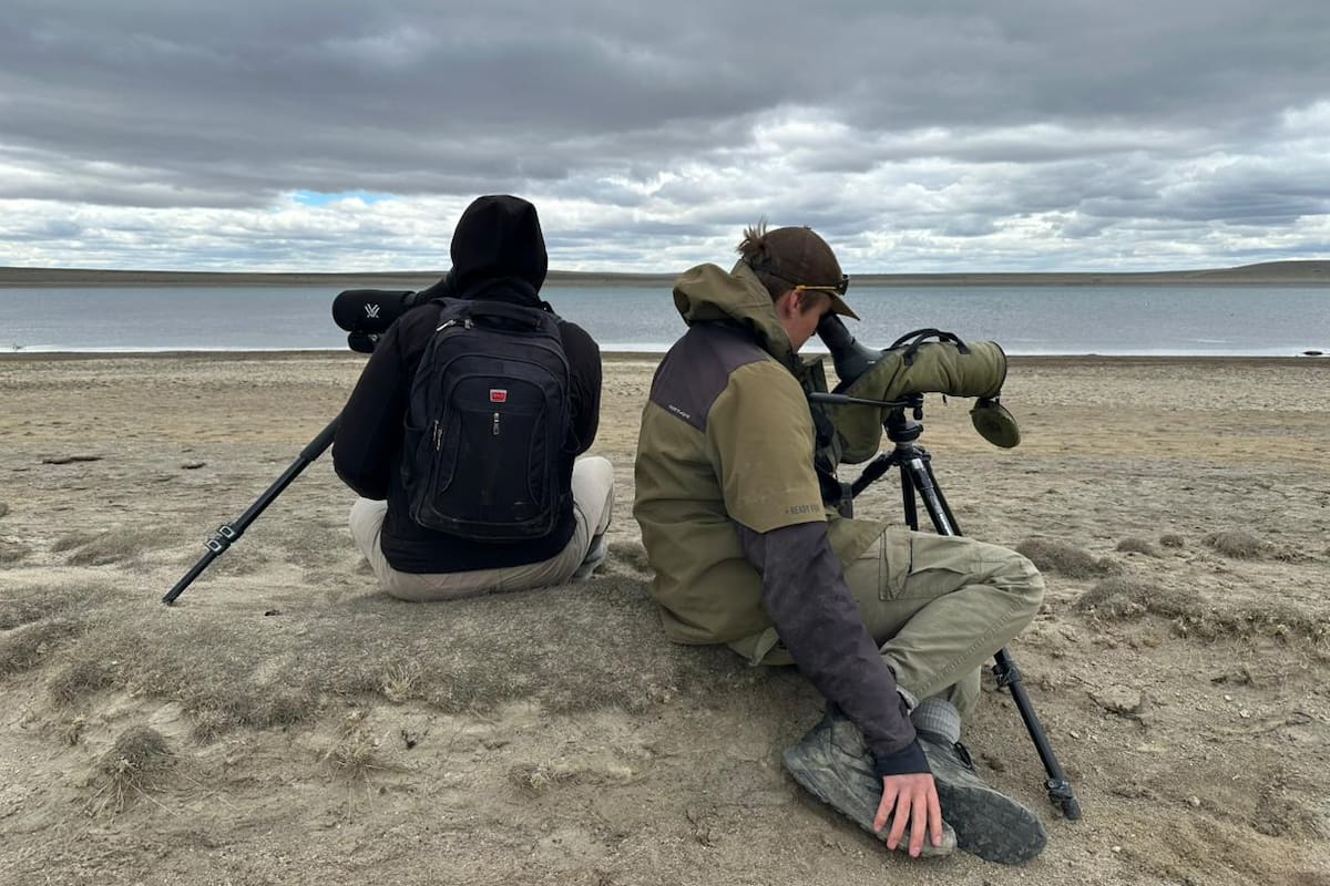 Parte del equipo de Ambiente Sur en una observación de la especie en peligro de extinción