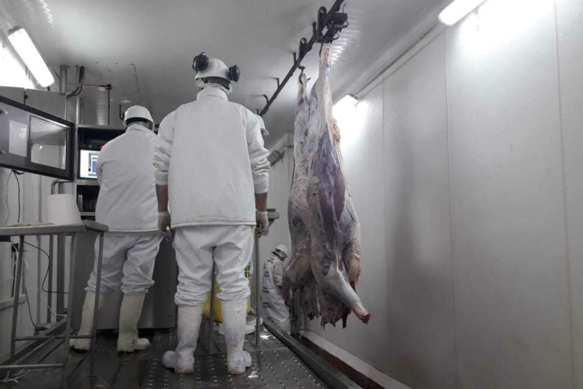 Participará del acto de una planta que el grupo Mattievich posee en la localidad de Carcarañá