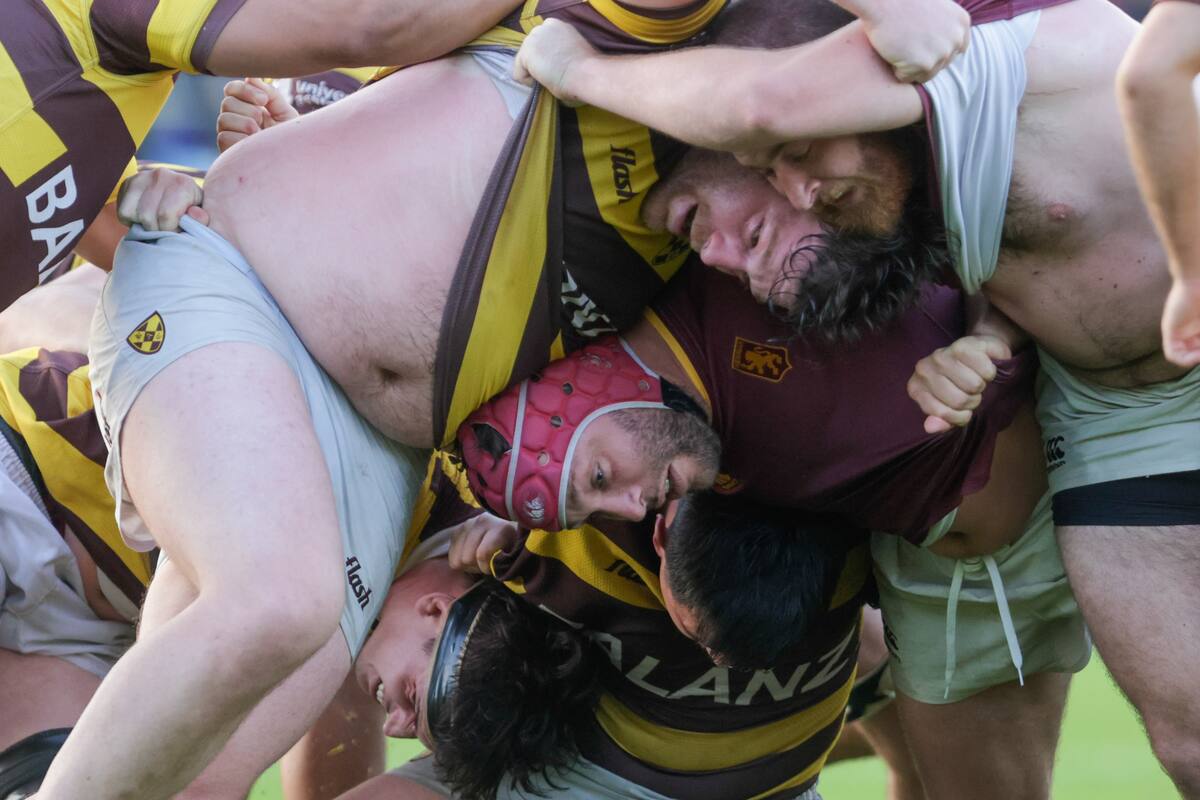 Particular pose colectiva a la salida de un scrum; Newman vs. Belgrano "fue un partido durísimo, de mucha fricción e indisciplina", como bien describió Augusto Vaccarino.