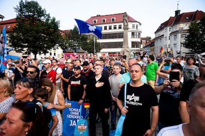Partidarios del partido alemán de ultraderecha Alternativa por Alemania, AfD