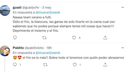 Partidarios del "team invierno" y el "team verano" agitaron su polémica debajo del posteo de José María Muscari