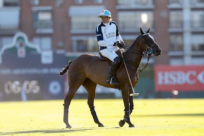 Partido 100 de Cambiaso en Palermo: en el último chukker juega la Cuartetera original, que se había retirado en 2015