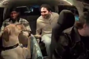 Pasajeros de Uber se sorprendieron al encontrarse con un perro de copiloto
(Foto: captura de pantalla)