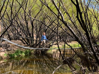 Pasarela metálica sobre el río Pinturas.