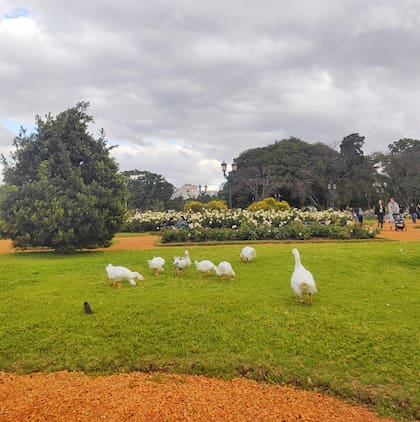 Paseo al aire libre