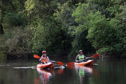 Paseo en kayak por el arroyo paraíso y la Reserva de la Biósfera Yaboti, que abarca 245.000 hectáreas.