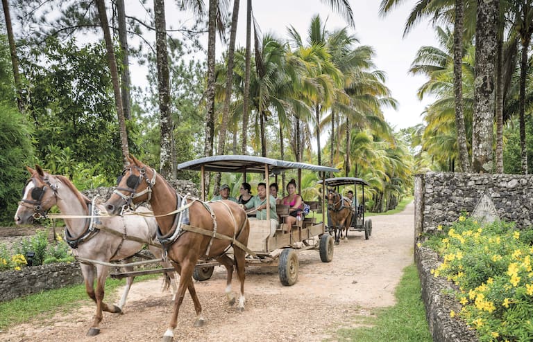 Paseos a caballo y en carros permite recorrer la selva guatemalteca y beliceña y aseguran el avistaje de tucanes y monos aulladores