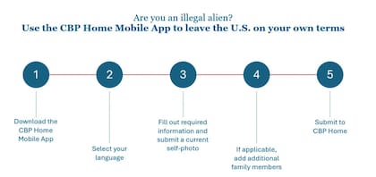 Paso paso para solicitar la autodeportación con la APP CBP Home