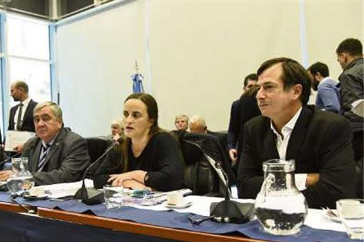 Passo y Lipovetzky, ayer, durante el debate