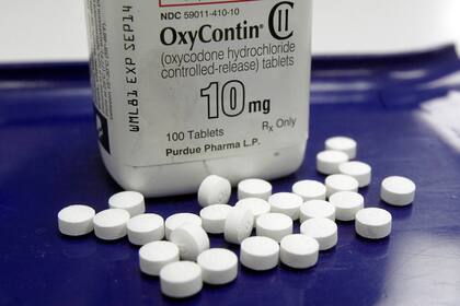 Pastillas del analgésico OxyContin dispuestas para una foto en una farmacia en Montpelier, Vermont, EEUU, el 19 de febrero de 2013. (Foto AP/Toby Talbot, archivo)