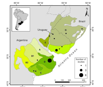 Pastizales del Río de la Plata. Las letras indican las unidades de vegetación como subdivisiones de las subregiones Pampas (A, B1, B2, C, D y E) y Campos (G y F). (A) Pampa Ondulada. (B1) Pampa Interior Plana, (B2) Pampa Interior Occidental, (C) Pampa Austral, (D) Pampa Deprimida, (E) Pampa Mesopotámica, (F) Campos del Sur, (G) Campos del Norte