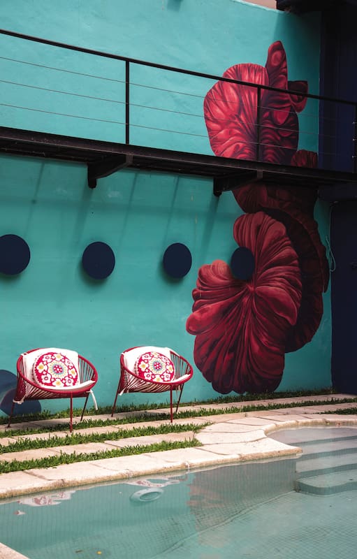 Patio urbano. Paisajismo: Eugenia Anaya.