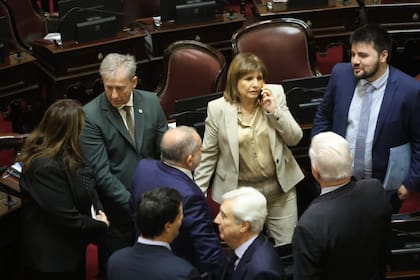 Presionada por el Gobierno, Bullrich apura una sesión para aprobar los pliegos de Yadarola y Bertuzzi