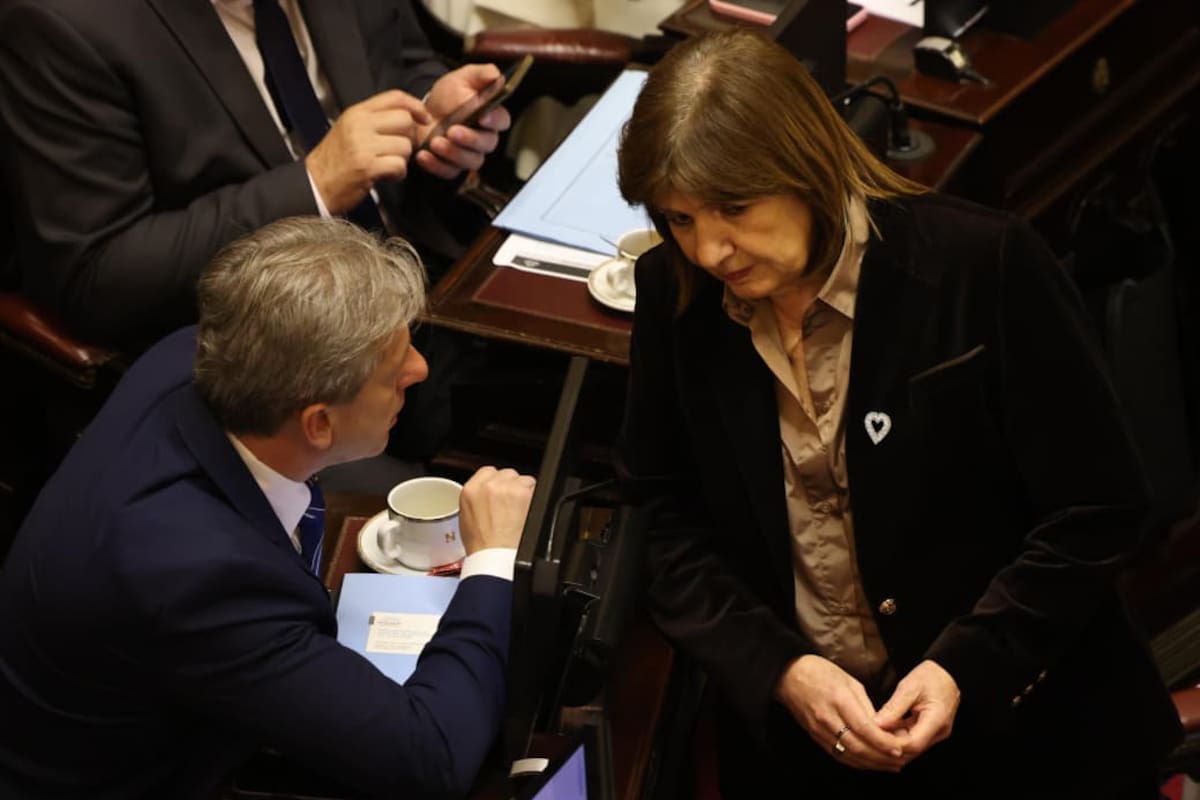 Patricia Bullrich con el jefe del bloque radical, Eduardo Vischi
