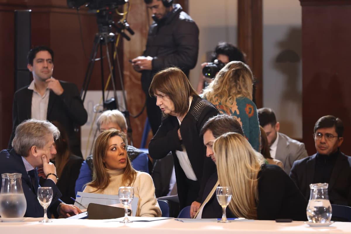 Patricia Bullrich con senadores de la oposición dialoguista