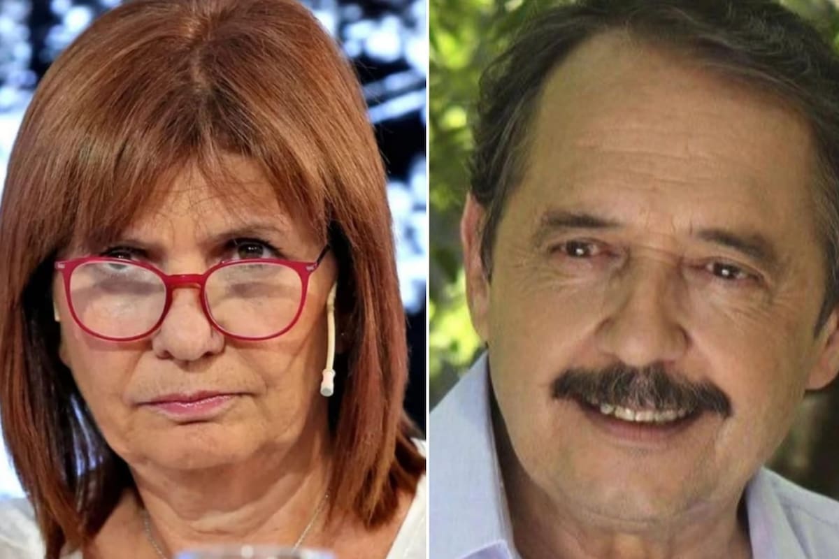 Patricia Bullrich criticó a Ricardo Alfonsín
