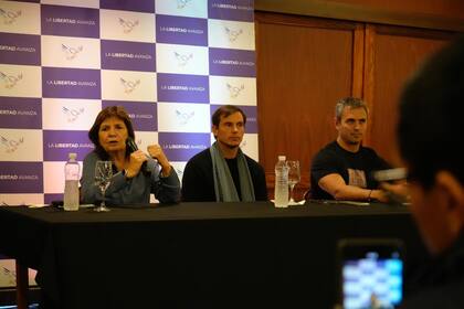 Patricia Bullrich, Diego Hartfield y Martín Menem