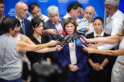 Patricia Bullrich, durante la conferencia de prensa en el Senado