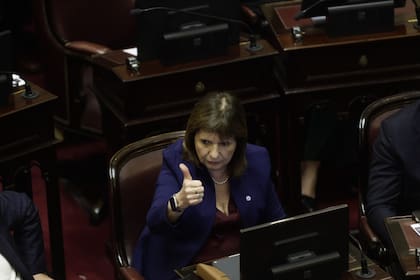 Patricia Bullrich durante la sesión Senado. Buenos Aires, Argentina, Miercoles, Septiembre 17, 2026 (La Nacion, Nicolas Suarez)