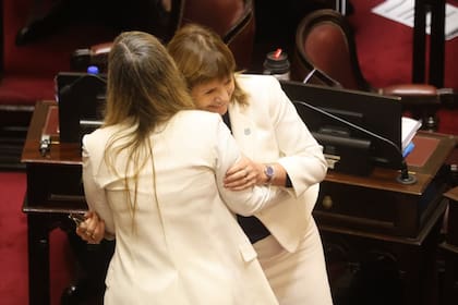 Patricia Bullrich, en el Senado
