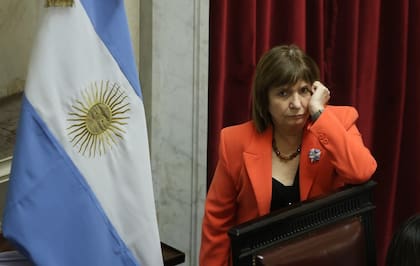 Patricia Bullrich, en el Senado