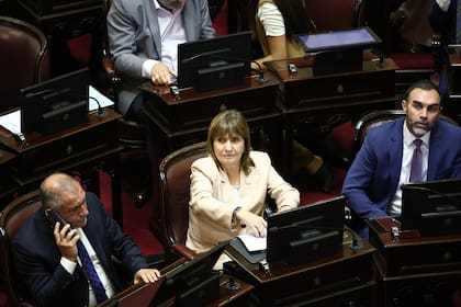 Patricia Bullrich en el Senado