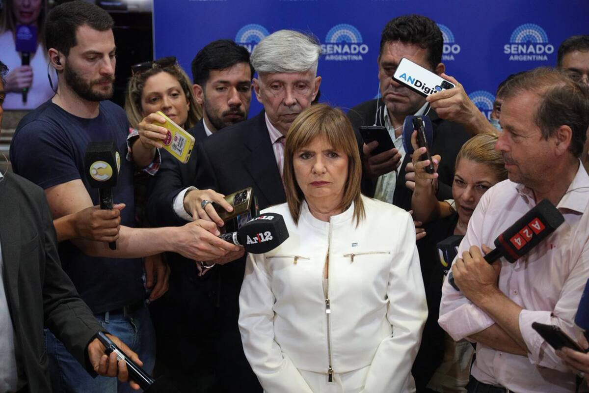 Patricia Bullrich en el Senado