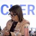 Bullrich busca consenso con ministros provinciales para avanzar con cambios a la ley de Salud Mental