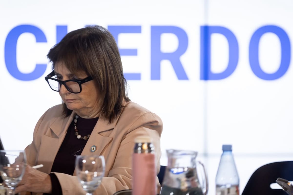 Patricia Bullrich, en el trabajo de comisiones en el Senado