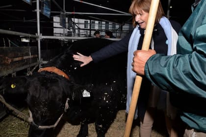 Patricia Bullrich en la exposición ganadera de Angus