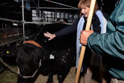 Patricia Bullrich en la exposición ganadera de Angus
