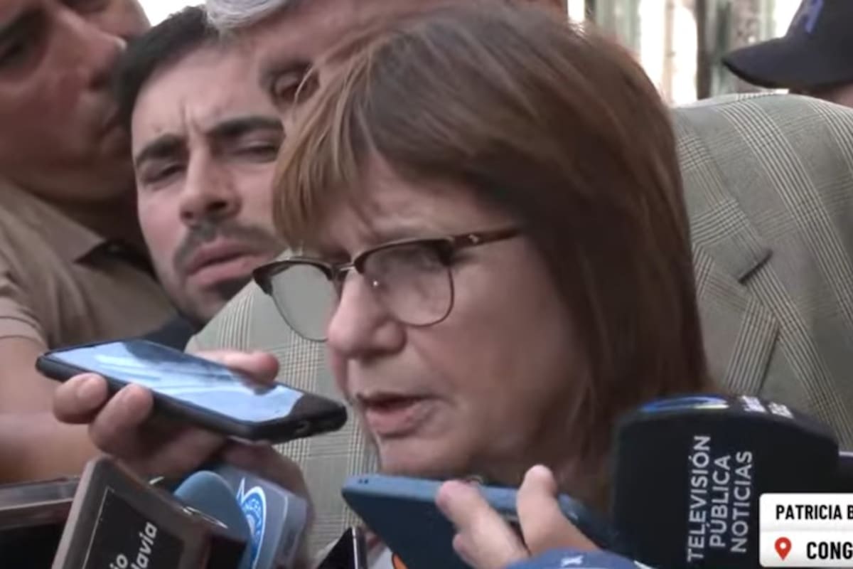 Patricia Bullrich, en la puerta del Congreso