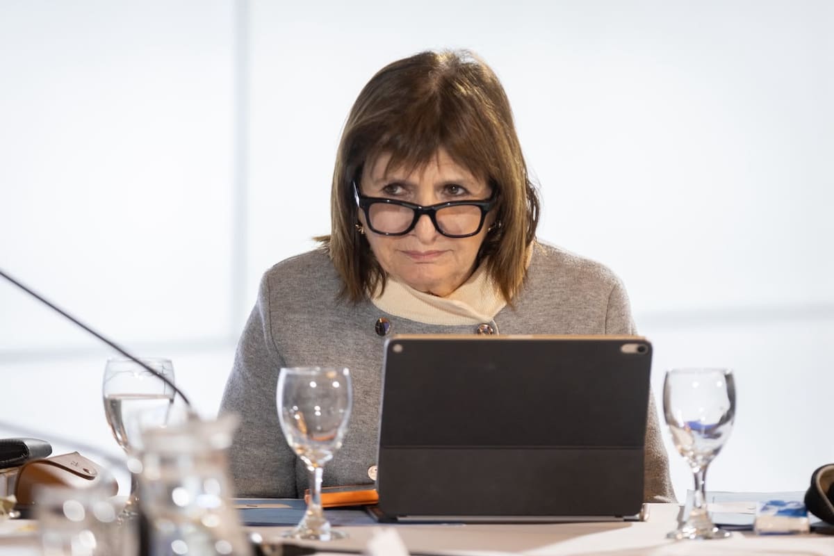 Patricia Bullrich, en una de las comisiones del Senado