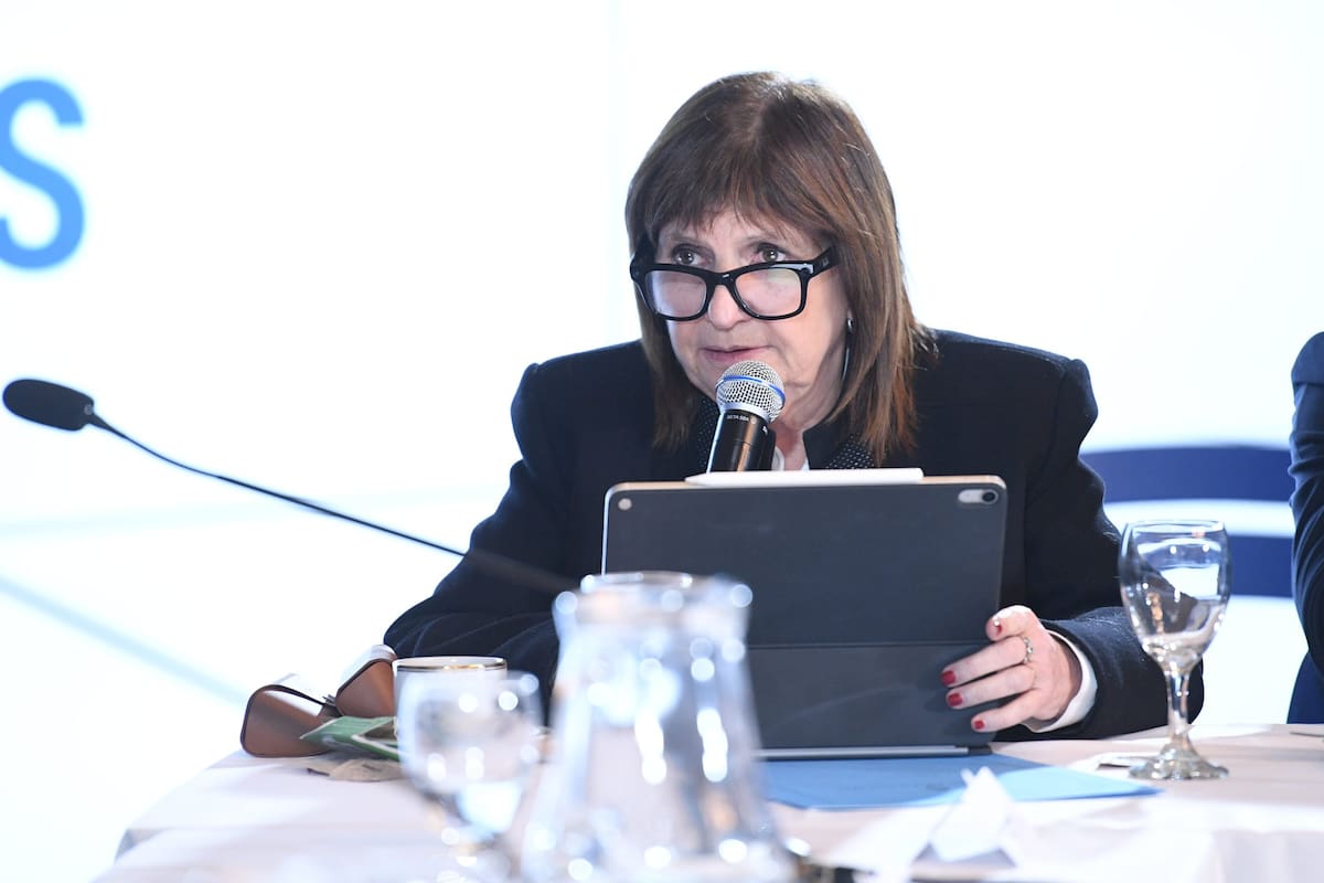 Patricia Bullrich, este miércoles en el Senado