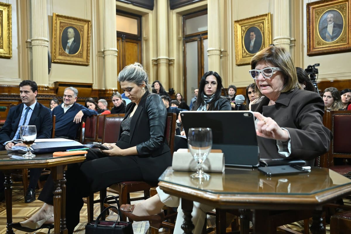 Patricia Bullrich, este miércoles en el Senado