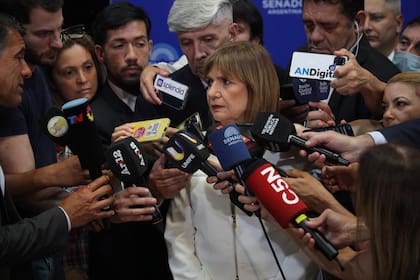 Patricia Bullrich, jefa de la bancada de senadores del oficialismo