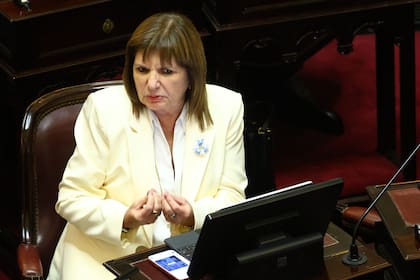 Patricia Bullrich, jefa del bloque de senadores de LLA