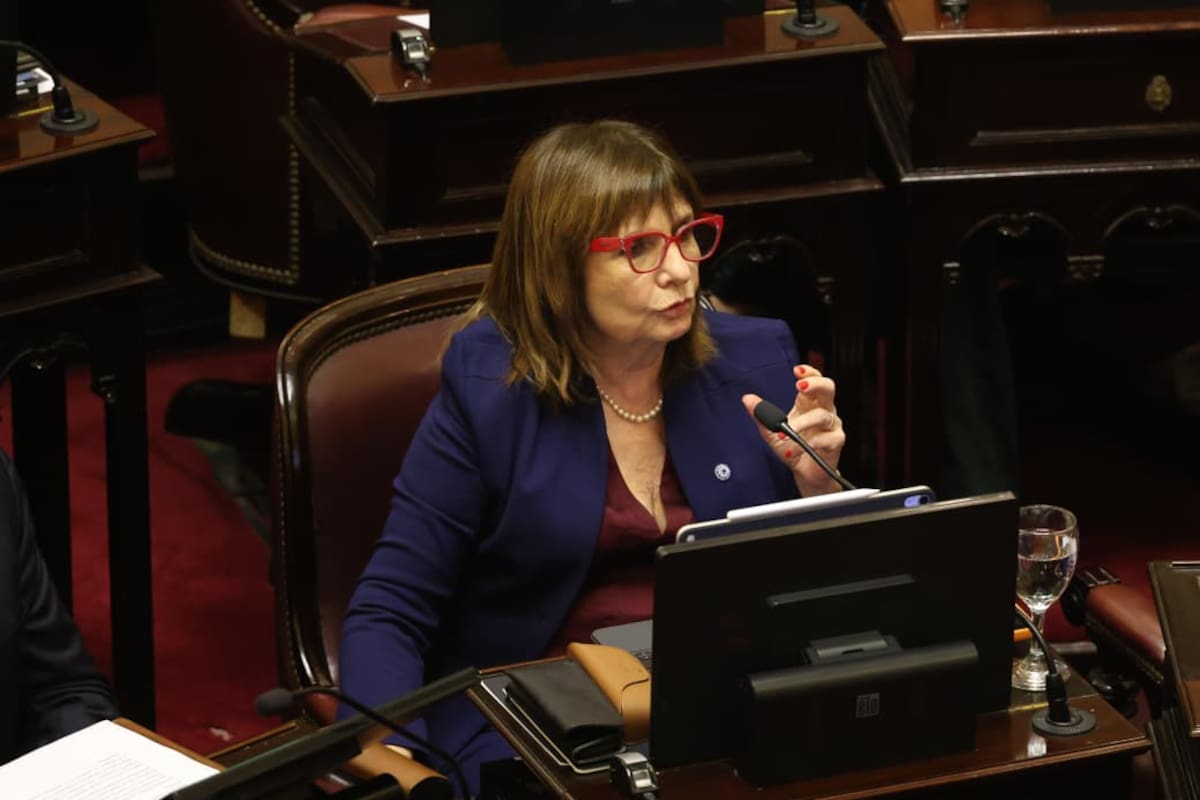 Patricia Bullrich, jefa del bloque oficialista en el Senado