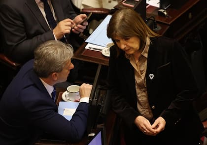 Patricia Bullrich junto al jefe del bloque radical, Eduardo Vischi