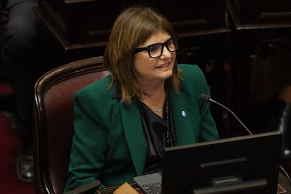 Patricia Bullrich, la figura libertaria de mejor imagen