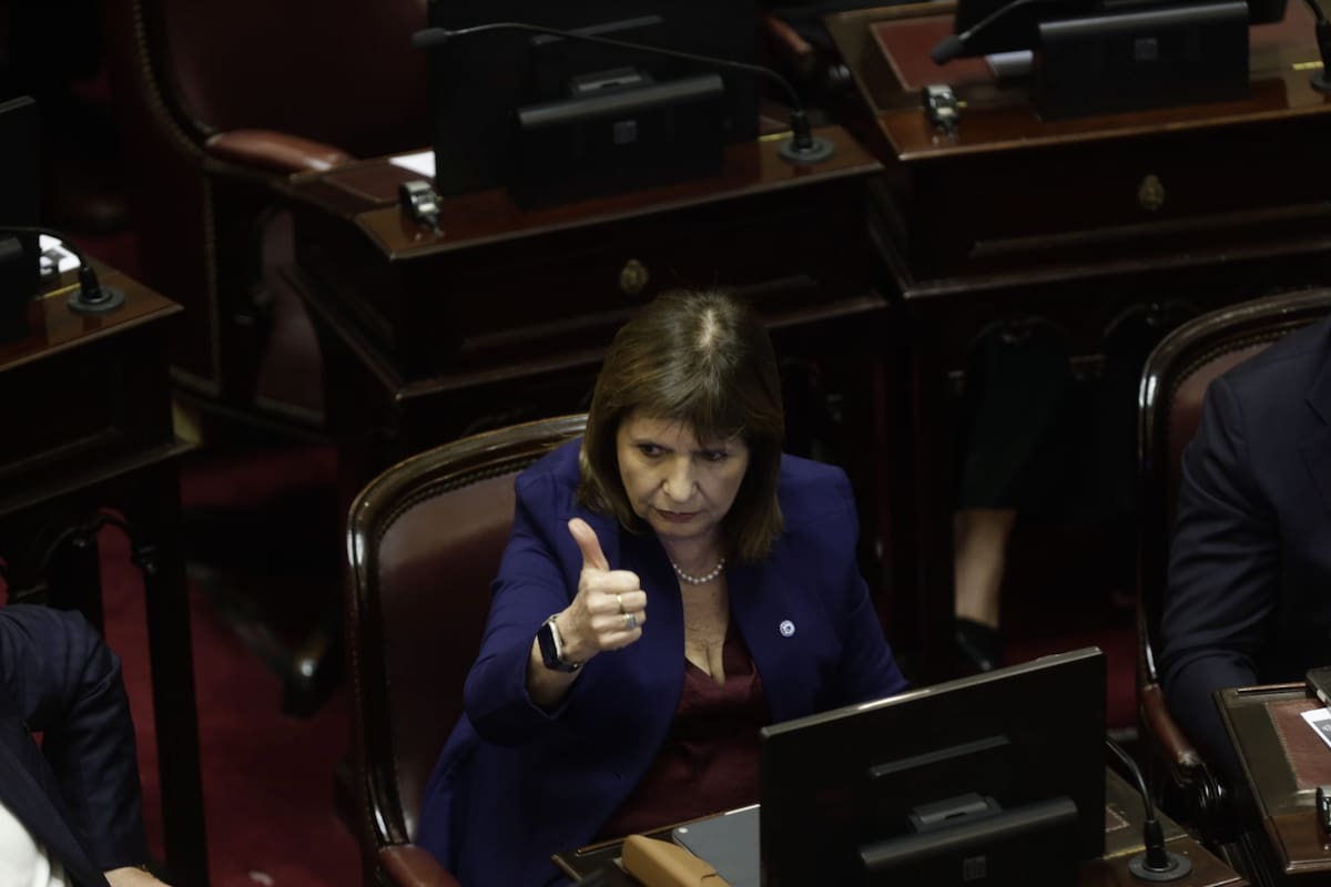 Patricia Bullrich (La Nación, Nicolás Suárez)