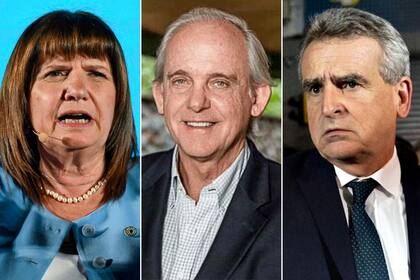 Patricia Bullrich, Martín Krause y Agustín Rossi