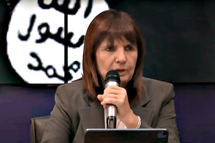 Patricia Bullrich negocia la compra de barcos franceses 100% financiados