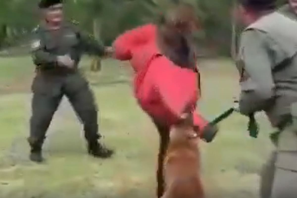 Patricia Bullrich realizó una demostración en Córdoba.