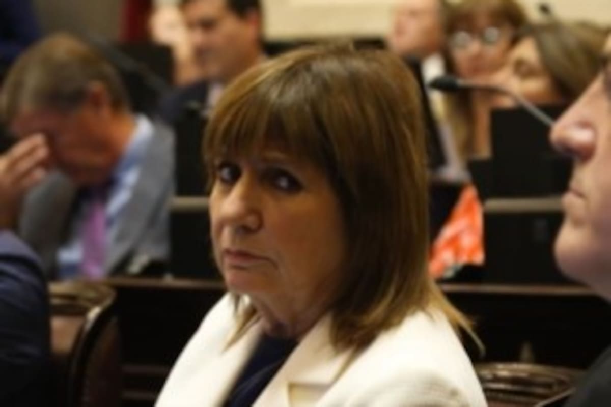 Patricia Bullrich: "Se dice de mí"