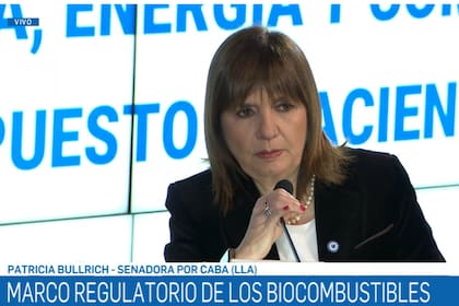 Patricia Bullrich, senadora de LLA
