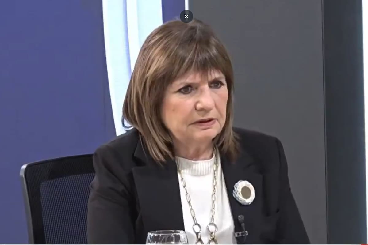 Patricia Bullrich, senadora nacional de LLA