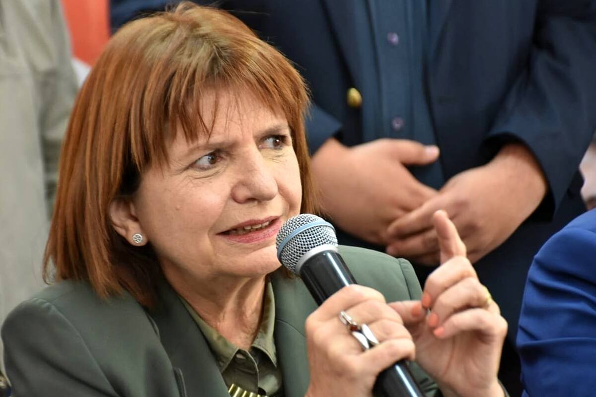 Patricia Bullrich utilizó su cuenta de Twitter para plantear el hecho