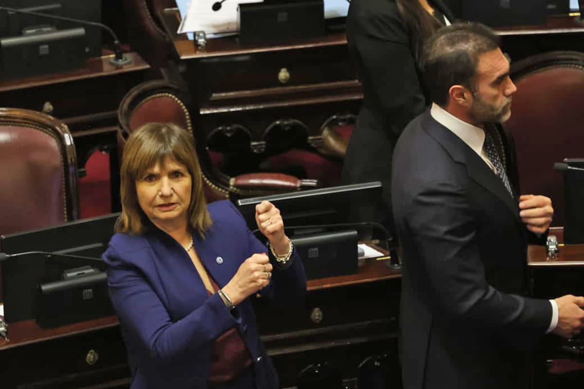 Patricia Bullrich y Atauche, senadores del oficialismo